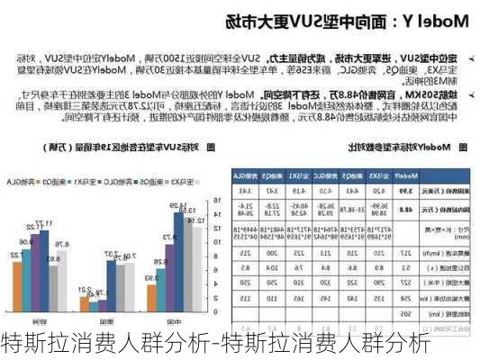 特斯拉消费人群分析-特斯拉消费人群分析