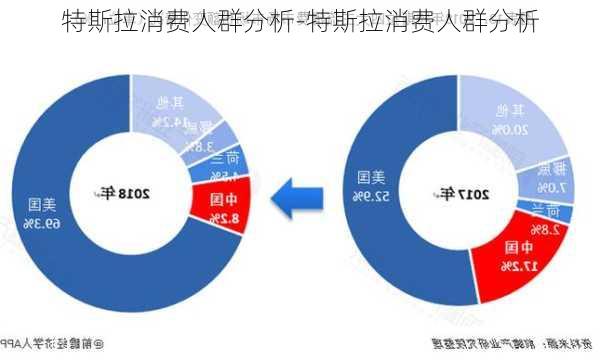 特斯拉消费人群分析-特斯拉消费人群分析