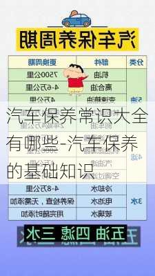 汽车保养常识大全有哪些-汽车保养的基础知识