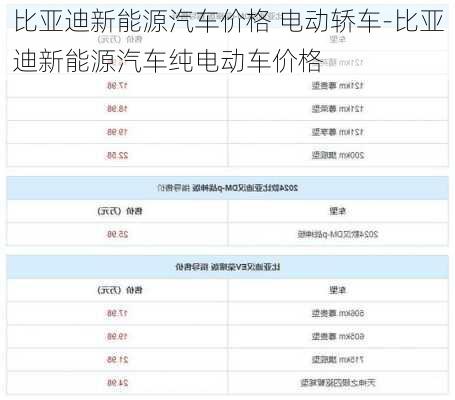 比亚迪新能源汽车价格 电动轿车-比亚迪新能源汽车纯电动车价格