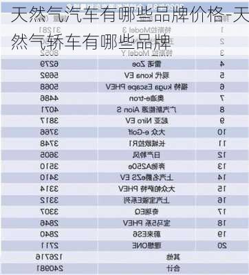 天然气汽车有哪些品牌价格-天然气轿车有哪些品牌