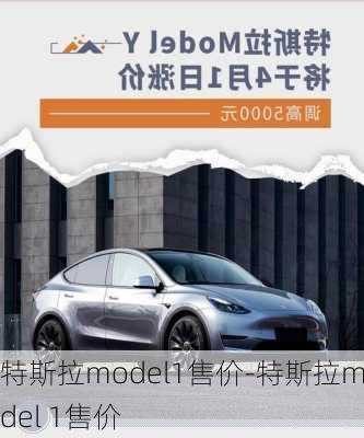 特斯拉model1售价-特斯拉model 1售价