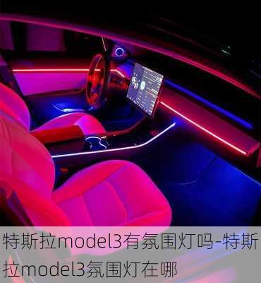 特斯拉model3有氛围灯吗-特斯拉model3氛围灯在哪