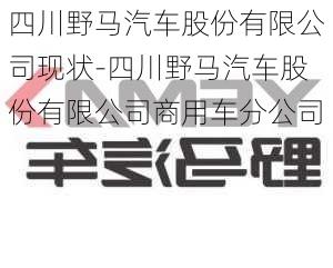 四川野马汽车股份有限公司现状-四川野马汽车股份有限公司商用车分公司