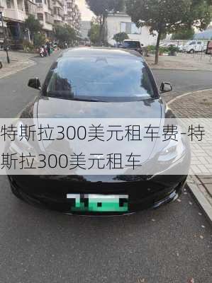 特斯拉300美元租车费-特斯拉300美元租车