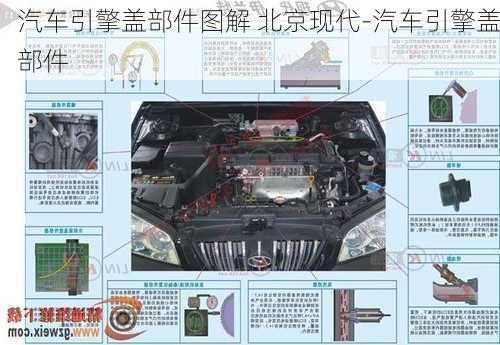 汽车引擎盖部件图解 北京现代-汽车引擎盖部件