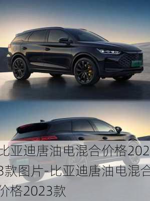 比亚迪唐油电混合价格2023款图片-比亚迪唐油电混合价格2023款