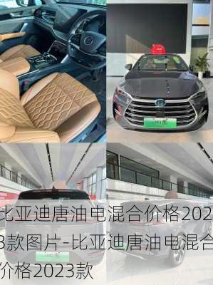 比亚迪唐油电混合价格2023款图片-比亚迪唐油电混合价格2023款