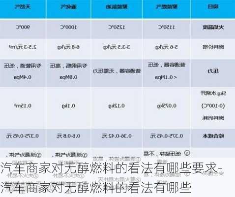 汽车商家对无醇燃料的看法有哪些要求-汽车商家对无醇燃料的看法有哪些