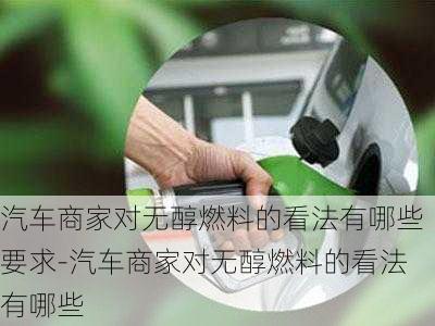 汽车商家对无醇燃料的看法有哪些要求-汽车商家对无醇燃料的看法有哪些