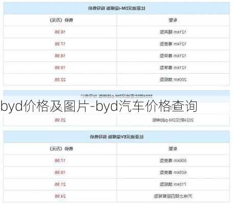 byd价格及图片-byd汽车价格查询