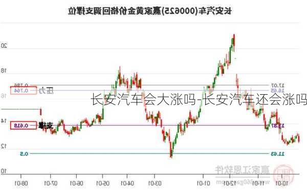 长安汽车会大涨吗-长安汽车还会涨吗