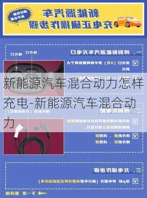 新能源汽车混合动力怎样充电-新能源汽车混合动力