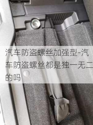 汽车防盗螺丝加强型-汽车防盗螺丝都是独一无二的吗