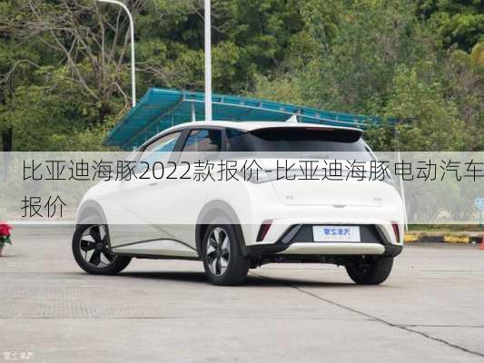 比亚迪海豚2022款报价-比亚迪海豚电动汽车报价