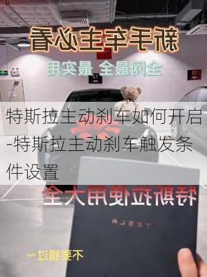 特斯拉主动刹车如何开启-特斯拉主动刹车触发条件设置