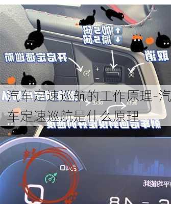 汽车定速巡航的工作原理-汽车定速巡航是什么原理
