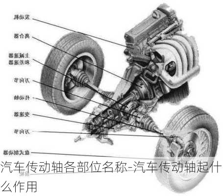 汽车传动轴各部位名称-汽车传动轴起什么作用