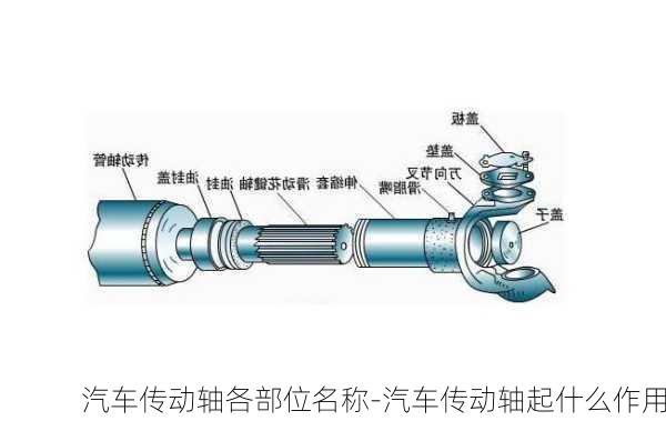 汽车传动轴各部位名称-汽车传动轴起什么作用