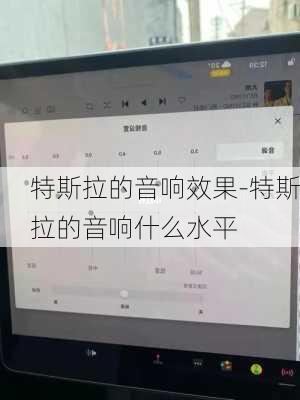 特斯拉的音响效果-特斯拉的音响什么水平