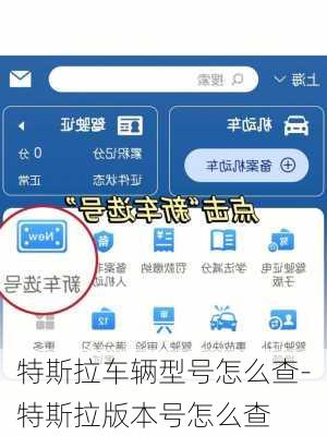 特斯拉车辆型号怎么查-特斯拉版本号怎么查