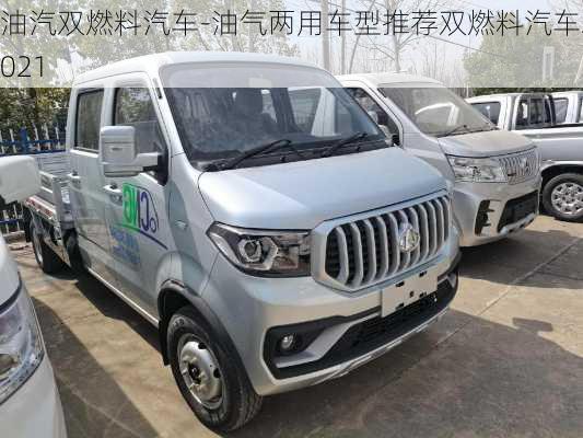 油汽双燃料汽车-油气两用车型推荐双燃料汽车2021