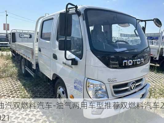 油汽双燃料汽车-油气两用车型推荐双燃料汽车2021