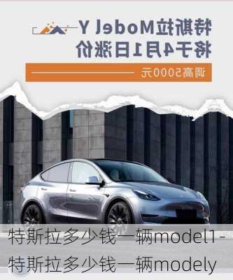 特斯拉多少钱一辆model1-特斯拉多少钱一辆modely