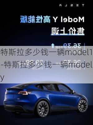 特斯拉多少钱一辆model1-特斯拉多少钱一辆modely