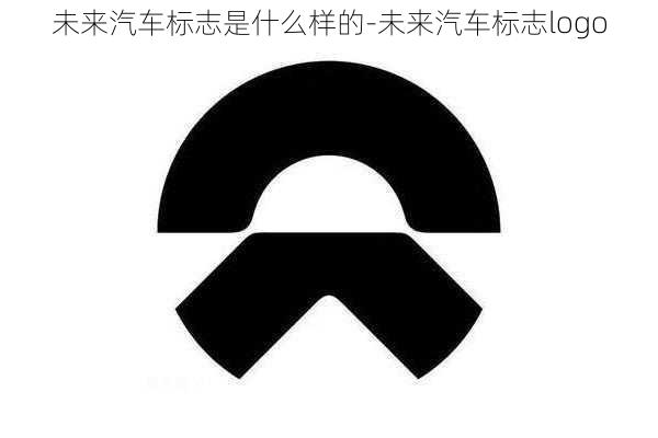 未来汽车标志是什么样的-未来汽车标志logo