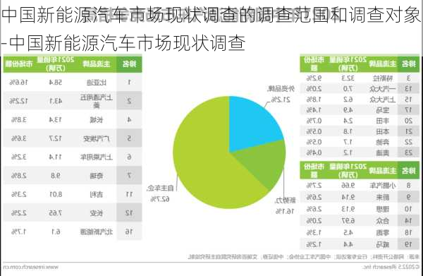 中国新能源汽车市场现状调查的调查范围和调查对象-中国新能源汽车市场现状调查