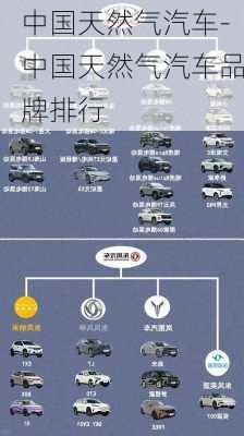 中国天然气汽车-中国天然气汽车品牌排行