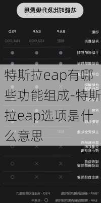 特斯拉eap有哪些功能组成-特斯拉eap选项是什么意思