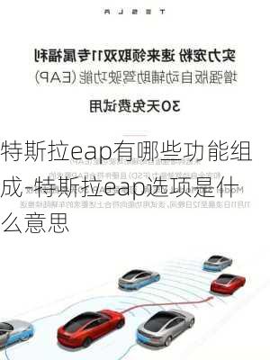 特斯拉eap有哪些功能组成-特斯拉eap选项是什么意思