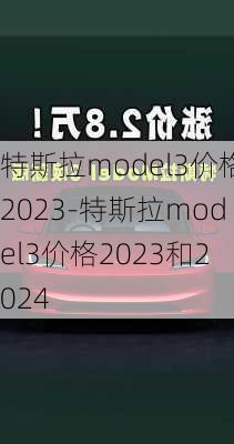 特斯拉model3价格2023-特斯拉model3价格2023和2024