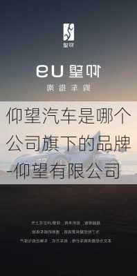 仰望汽车是哪个公司旗下的品牌-仰望有限公司