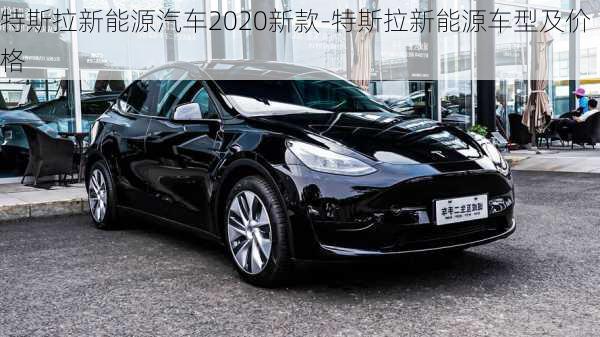 特斯拉新能源汽车2020新款-特斯拉新能源车型及价格