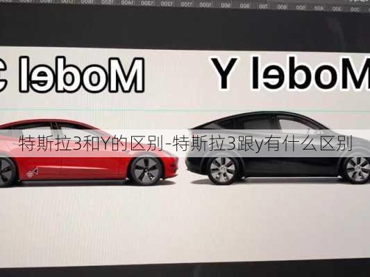 特斯拉3和Y的区别-特斯拉3跟y有什么区别