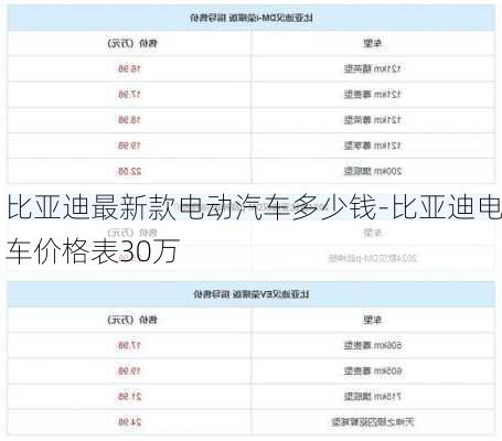 比亚迪最新款电动汽车多少钱-比亚迪电车价格表30万