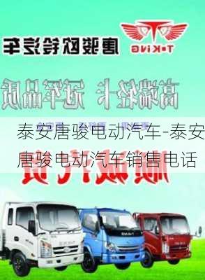 泰安唐骏电动汽车-泰安唐骏电动汽车销售电话