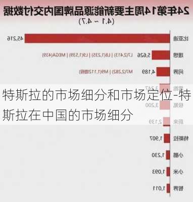 特斯拉的市场细分和市场定位-特斯拉在中国的市场细分