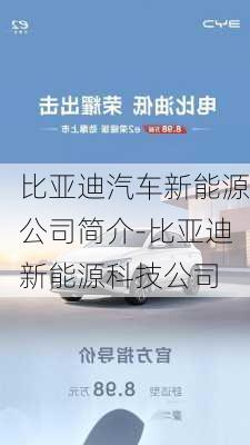 比亚迪汽车新能源公司简介-比亚迪新能源科技公司