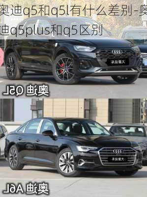 奥迪q5和q5l有什么差别-奥迪q5plus和q5区别