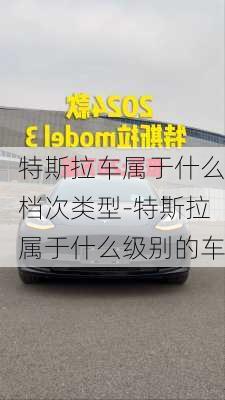 特斯拉车属于什么档次类型-特斯拉属于什么级别的车