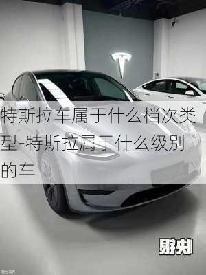 特斯拉车属于什么档次类型-特斯拉属于什么级别的车