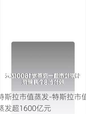 特斯拉市值蒸发-特斯拉市值蒸发超1600亿元