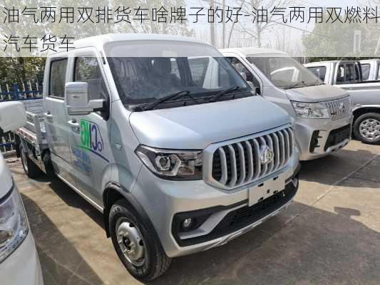 油气两用双排货车啥牌子的好-油气两用双燃料汽车货车