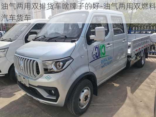 油气两用双排货车啥牌子的好-油气两用双燃料汽车货车