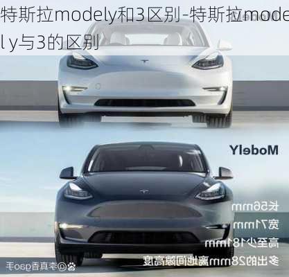 特斯拉modely和3区别-特斯拉model y与3的区别