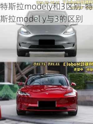 特斯拉modely和3区别-特斯拉model y与3的区别